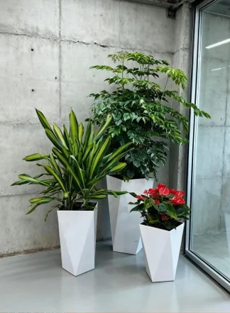 杭州湾绿植租赁服务商性能提升方法，实用有效
